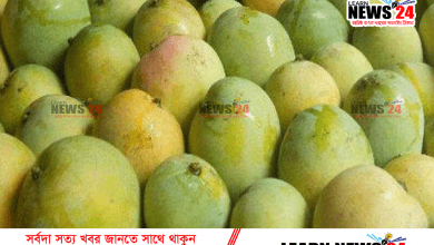 সহজে ভালো আম যেভাবে চিনবেন