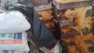 ফেনীতে সেমাই কারখানায় অভিযান : ইকরা ফুড প্রোডাক্টসকে অর্থদন্ড, ওয়ান বেকারির দুই জনকে কারাদন্ড