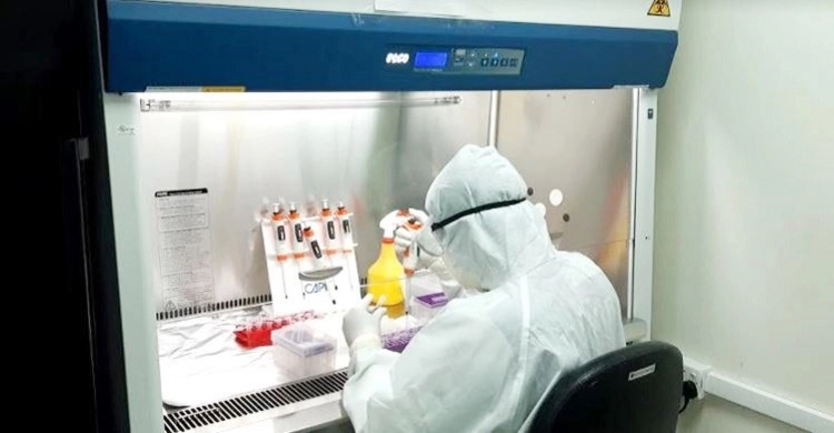 পিসিআর ল্যাব