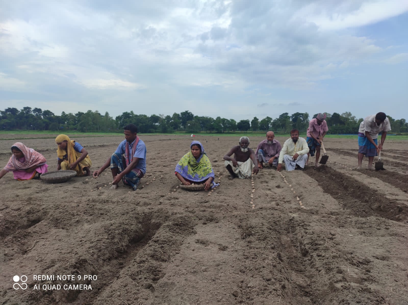 কিশোরগঞ্জে আগাম আলু রোপণে চলছে বিশাল কর্মযজ্ঞ কিশোরগঞ্জে আগাম আলু রোপণে চলছে বিশাল কর্মযজ্ঞ