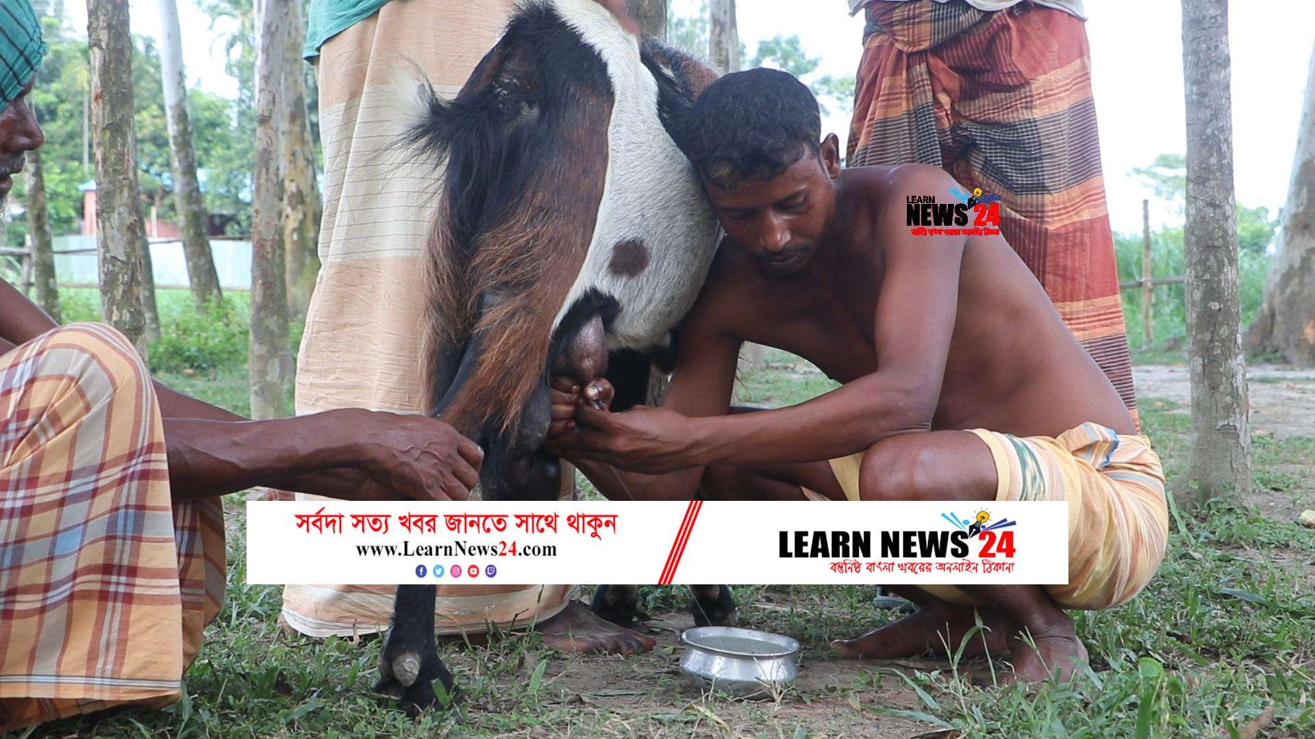 ‘দুধ দেয়া পাঁঠা’ পর্যবেক্ষণে প্রাণিসম্পদ অধিদফতর ‘দুধ দেয়া পাঁঠা’ পর্যবেক্ষণে প্রাণিসম্পদ অধিদফতর