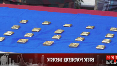 সীমান্তে যাত্রীর শরীরে ২০ সোনার বার