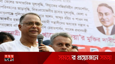 আ. লীগের সঙ্গে জামায়াতের ‘পরকীয়া’ চলছে: টুকু