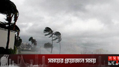 ঢাকাসহ ২০ জেলায় ঝড়বৃষ্টির পূর্বাভাস
