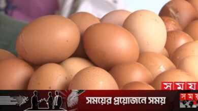 ডিমের দাম ফের ঊর্ধ্বমুখী, ডজনে বাড়ল ১০ টাকা