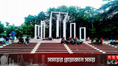 কেন্দ্রীয় শহীদ মিনারের পাশে মিলল নবজাতকের মরদেহ