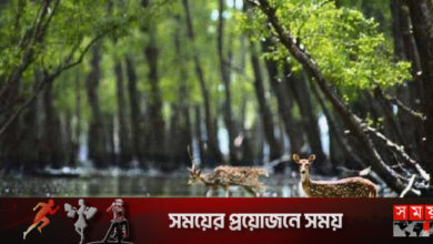 বিশ্ব পর্যটন দিবস আজ