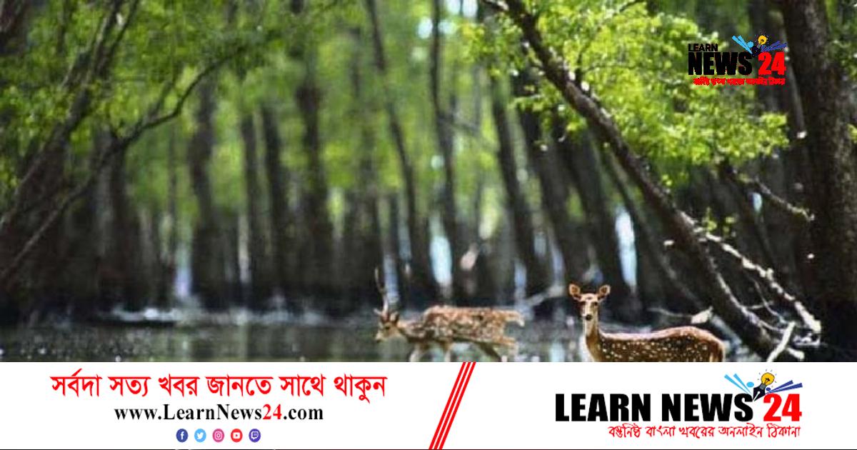 বিশ্ব পর্যটন দিবস আজ বিশ্ব পর্যটন দিবস আজ