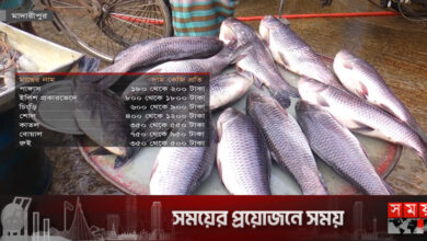 মাদারীপুরে আবার বেড়েছে মাছের দাম