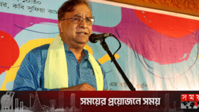 রাজনীতিতে উচ্চমার্গীয় ভাষার ব্যবহার বাড়াতে হবে: সংস্কৃতি প্রতিমন্ত্রী