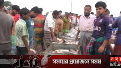 মুন্সীগঞ্জে বেড়েছে মাছের দাম