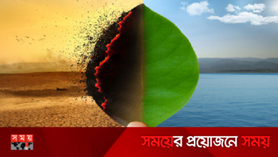 পরিবেশ বিপর্যয় রোধে কী করছে পরিবেশ অধিদফতর?