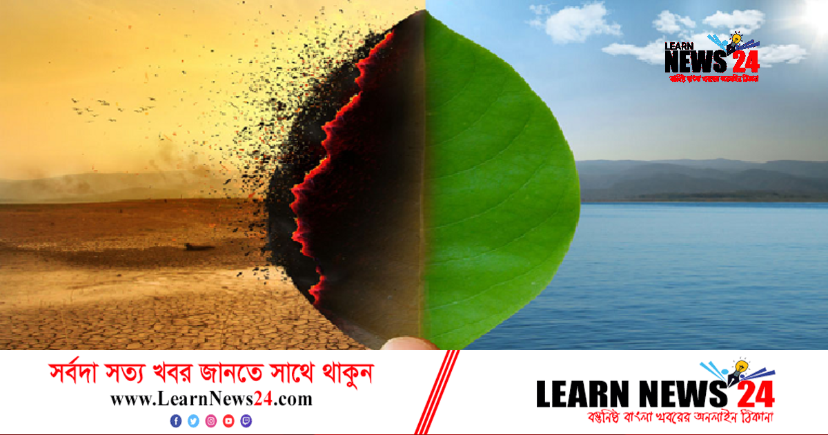 পরিবেশ বিপর্যয় রোধে কী করছে পরিবেশ অধিদফতর? পরিবেশ বিপর্যয় রোধে কী করছে পরিবেশ অধিদফতর?