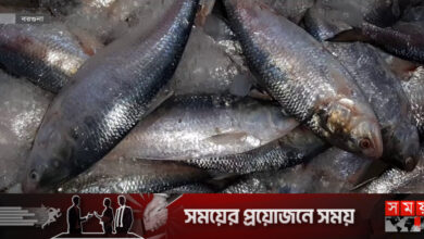 ভারতে ইলিশ রফতানিতে খুশি জেলেরা