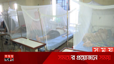 বাড়ছে ডেঙ্গু আতঙ্ক