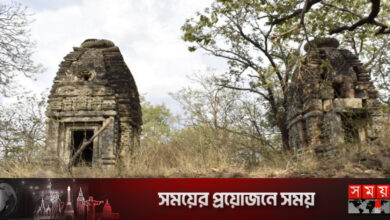 ভারতে নতুন প্রত্নতাত্বিক নিদর্শন আবিষ্কার