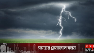 খুলনায় বজ্রপাতে একসঙ্গে ২ ভাইয়ের মৃত্যু