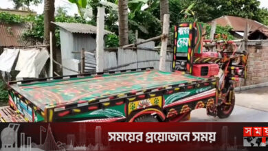 চুয়াডাঙ্গায় অটোভ্যান উল্টে চালকের মৃত্যু