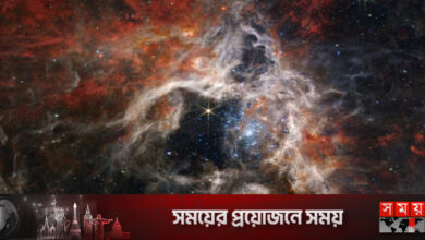 মহাকাশে দানবীয় মাকড়সা!