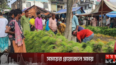 ব্রাহ্মণবাড়িয়ায় জমজমাট চারার হাট