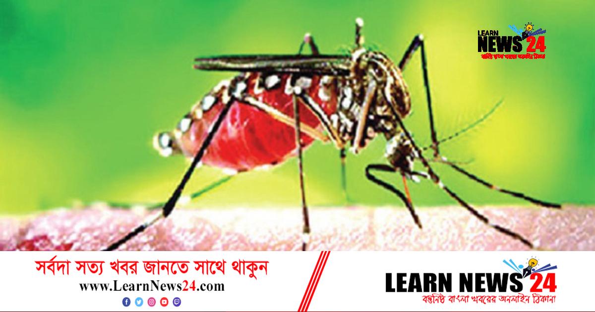 ডেঙ্গু কেড়ে নিল আরও তিন জনের প্রাণ