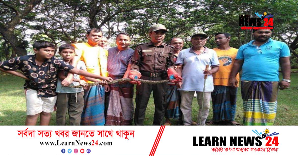 সুন্দরবনে চিংড়ি ঘের থেকে অজগর উদ্ধার সুন্দরবনে চিংড়ি ঘের থেকে অজগর উদ্ধার