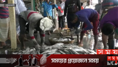 ঝাঁকে ঝাঁকে ইলিশ ধরা পড়ছে সাগরে