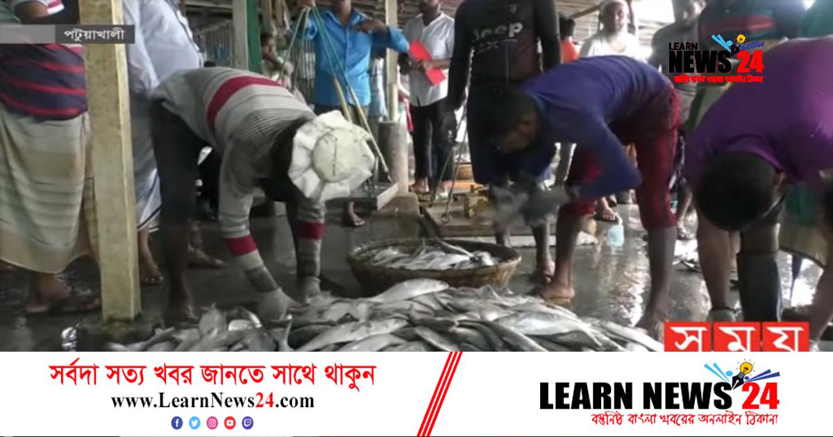 ঝাঁকে ঝাঁকে ইলিশ ধরা পড়ছে সাগরে ঝাঁকে ঝাঁকে ইলিশ ধরা পড়ছে সাগরে