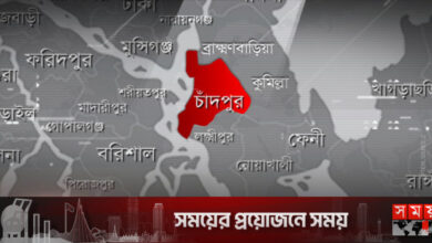 চাঁদপুরে বিদ্যুৎস্পৃষ্টে দুজনের মৃত্যু, কয়েকজন আহত
