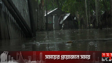 টানা বৃষ্টি ও জোয়ারে পিরোজপুরের নিম্নাঞ্চল প্লাবিত