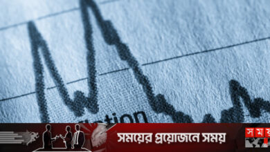 রেপো সুদহার বাড়ালেই কি কমবে মূল্যস্ফীতি?