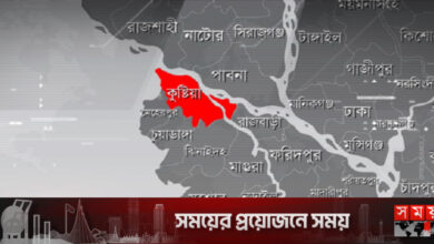 কুষ্টিয়ায় বজ্রপাতে দুজনের মৃত্যু