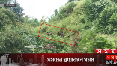 মিয়ানমার সীমান্তে মাইন বিস্ফোরণে বাংলাদেশি আহত