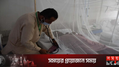 পাকিস্তানে বন্যার পর ডেঙ্গু