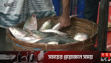 ২২ দিন ইলিশ ধরা ও কেনাবেচা নিষিদ্ধ