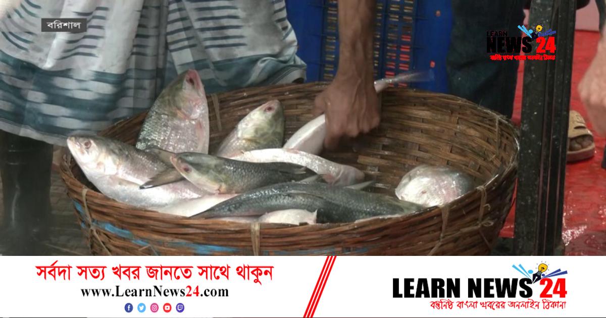 ২২ দিন ইলিশ ধরা ও কেনাবেচা নিষিদ্ধ ২২ দিন ইলিশ ধরা ও কেনাবেচা নিষিদ্ধ