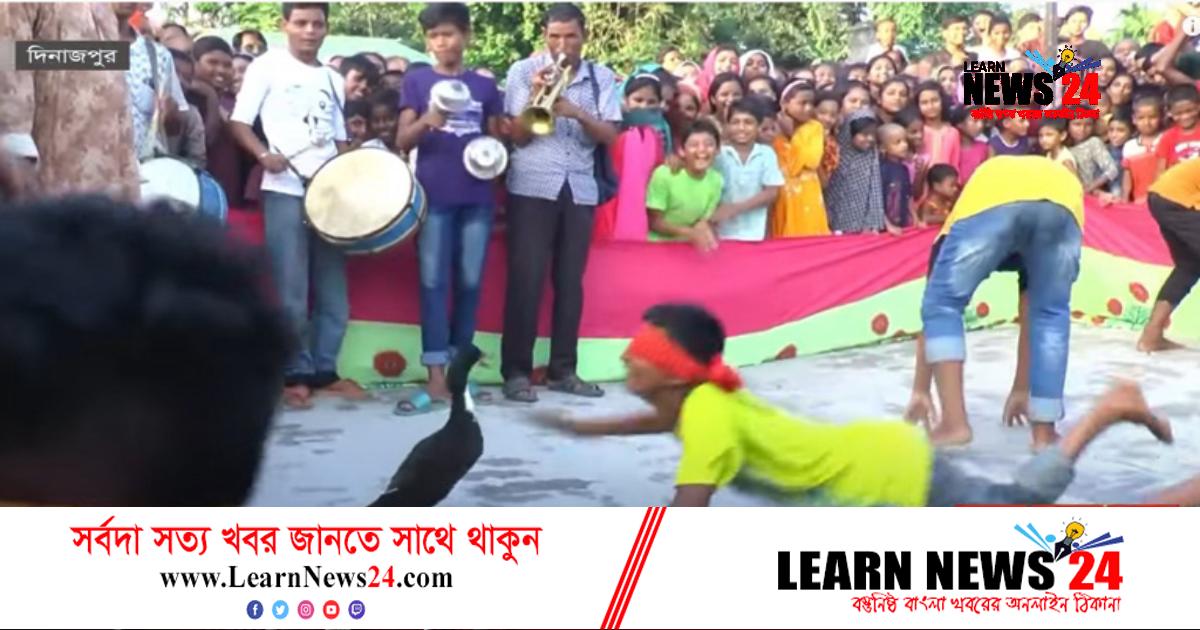 দিনাজপুরে অন্যরকম হাঁস ধরা প্রতিযোগিতা দিনাজপুরে অন্যরকম হাঁস ধরা প্রতিযোগিতা