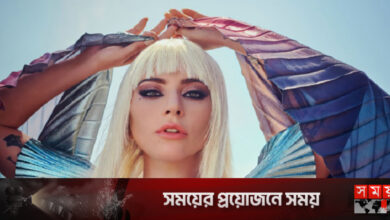 কাঁদতে কাঁদতে ক্ষমা চাইলেন লেডি গাগা