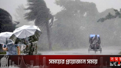 ১০ জেলায় ৬০ কিলোমিটার বেগে ঝড়বৃষ্টির পূর্বাভাস