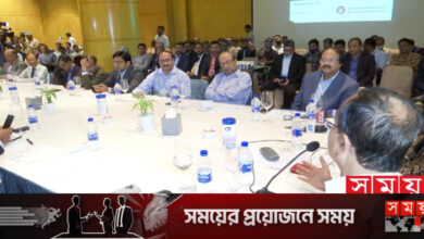 ‘পুঁজিবাজারে দীর্ঘমেয়াদি বিনিয়োগে রাজনৈতিক সদিচ্ছা জরুরি’