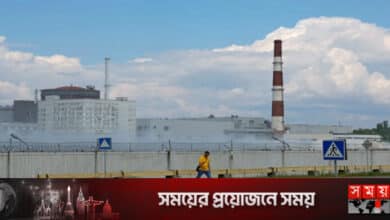 গণভোটের মধ্যেই পরমাণু বিদ্যুৎকেন্দ্রের আশপাশে রকেট হামলা