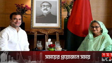 প্রধানমন্ত্রী শেখ হাসিনার সঙ্গে দেখা করলেন রাহুল গান্ধী