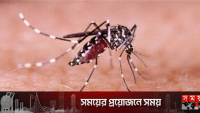 ডেঙ্গুতে মৃত্যু ৪, আক্রান্ত ৩৪৫