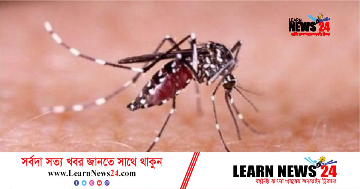 ডেঙ্গুতে মৃত্যু ৪, আক্রান্ত ৩৪৫ ডেঙ্গুতে মৃত্যু ৪, আক্রান্ত ৩৪৫