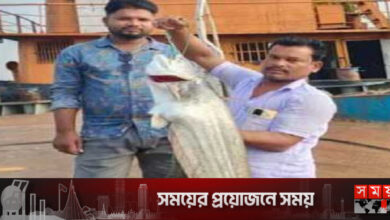 এক বোয়ালের দাম ২৭ হাজার টাকা