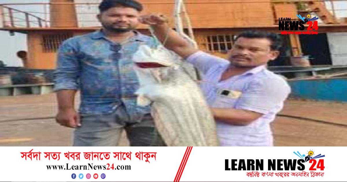 এক বোয়ালের দাম ২৭ হাজার টাকা