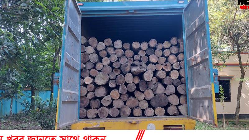 ফেনীর মহিপালে ২০০ ঘনফুট সেগুন কাঠ আটক ফেনীর মহিপালে ২০০ ঘনফুট সেগুন কাঠ আটক