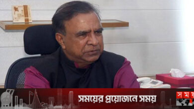 জাপান বাংলাদেশের উন্নয়নের সবচেয়ে বড় অংশীদার: সংস্কৃতি প্রতিমন্ত্রী