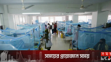 ডেঙ্গুতে অধিক ঝুঁকিপূর্ণ রাজধানীর ২৭ ওয়ার্ড