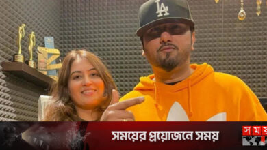 দাম্পত্যজীবনে ইতি টানলেন হানি সিং